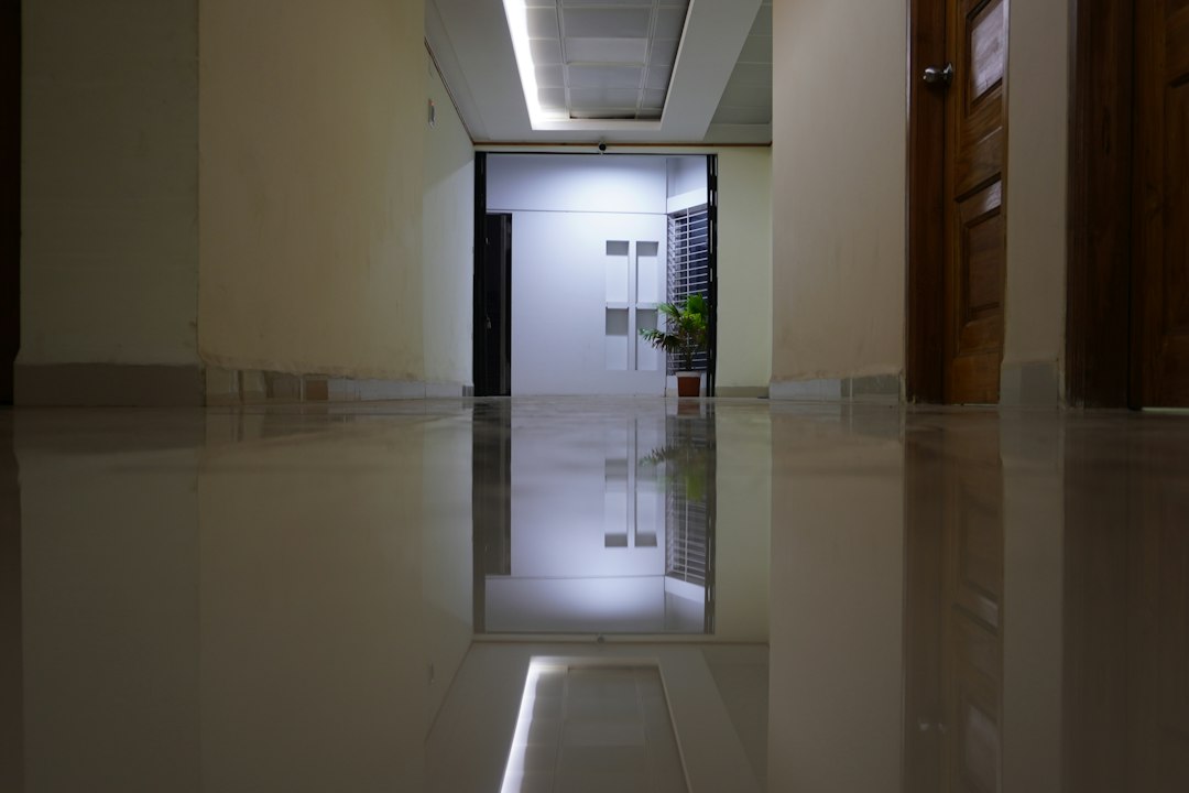 An empty hallway with a potted plant on the floor in Allen, TX